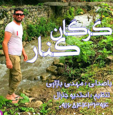 مهدی بازاری گرگان کنار